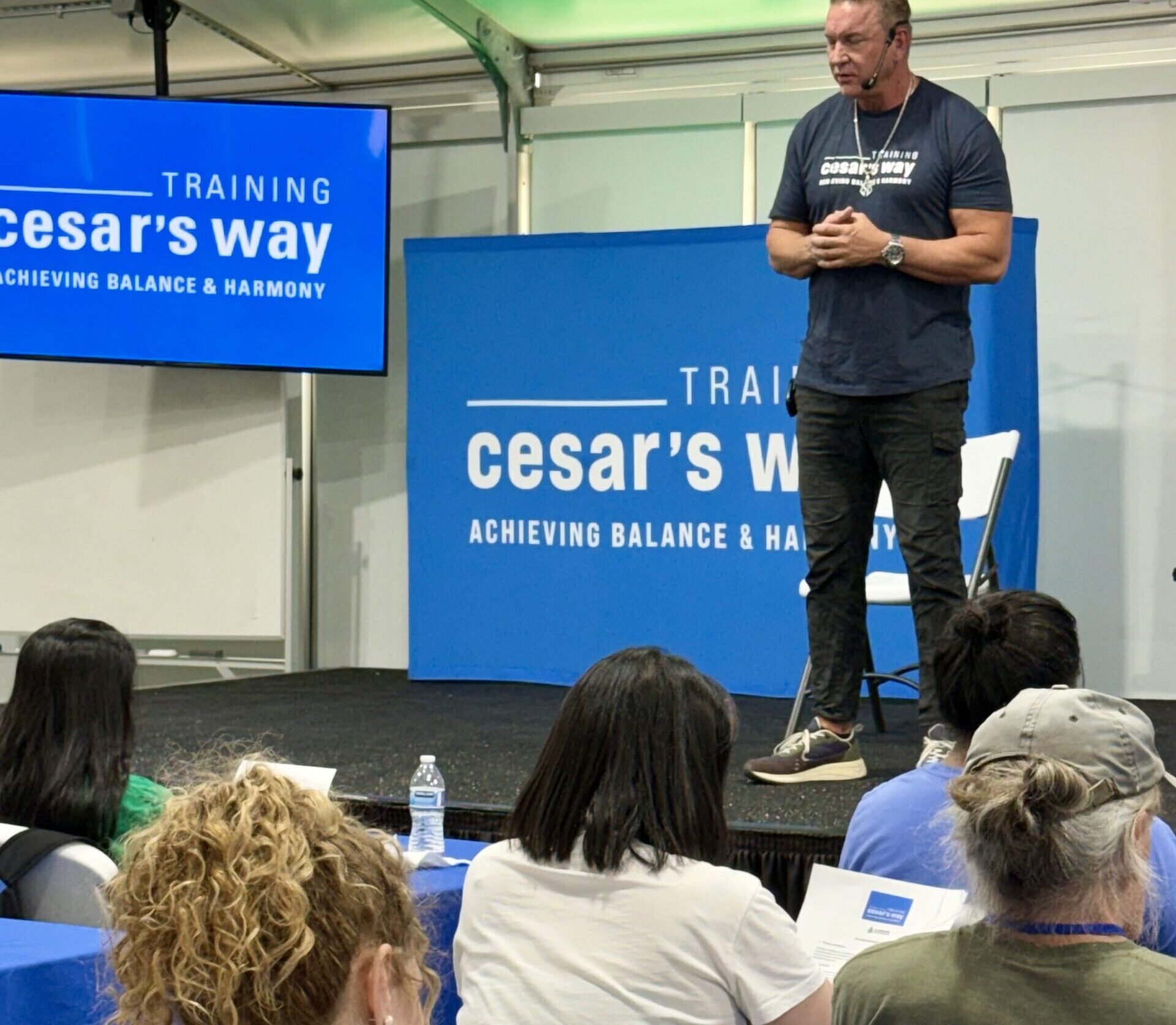 César Millan Programs